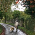 All I want is a dog and a home in the Cotswolds.
