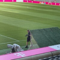 The players entrance to the field at bayern munich.